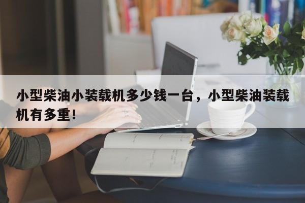 小型柴油小裝載機多少錢一臺，小型柴油裝載機有多重！
