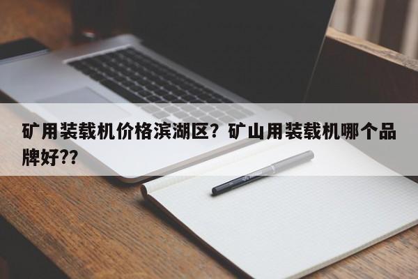 礦用裝載機價格濱湖區(qū)？礦山用裝載機哪個品牌好?？
