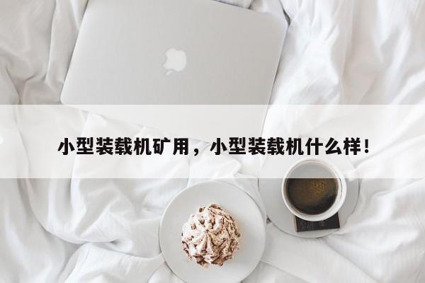 小型裝載機(jī)礦用，小型裝載機(jī)什么樣！