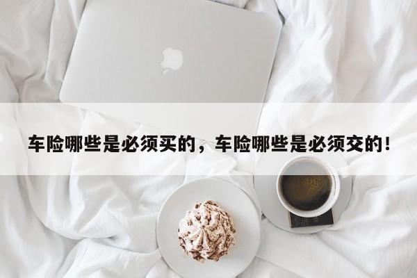 車(chē)險(xiǎn)哪些是必須買(mǎi)的，車(chē)險(xiǎn)哪些是必須交的！