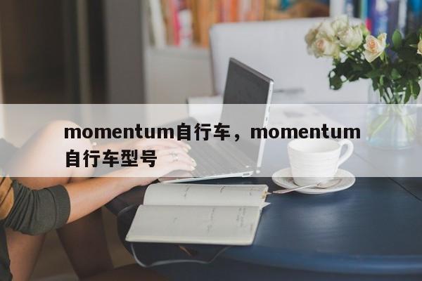momentum自行車，momentum自行車型號(hào)
