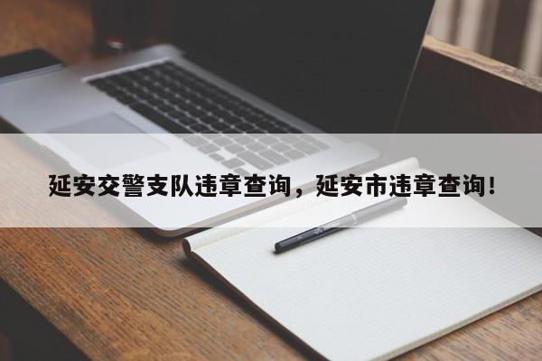 延安交警支隊(duì)違章查詢(xún)，延安市違章查詢(xún)！