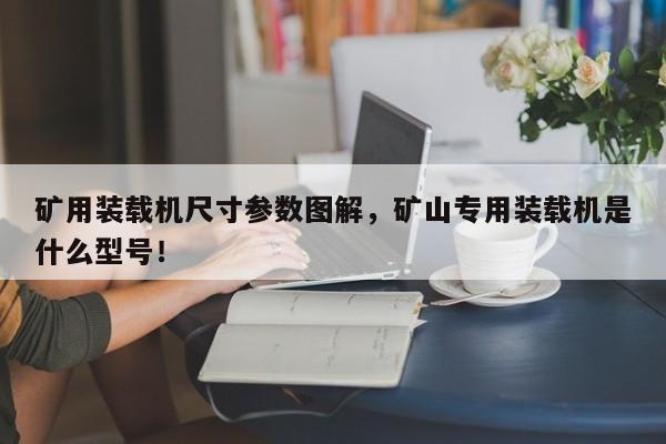 礦用裝載機(jī)尺寸參數(shù)圖解，礦山專用裝載機(jī)是什么型號(hào)！