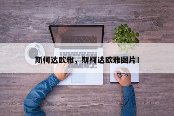 斯柯達(dá)歐雅，斯柯達(dá)歐雅圖片！